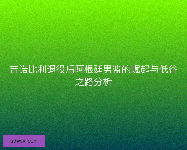 吉诺比利退役后阿根廷男篮的崛起与低谷之路分析