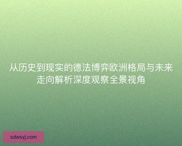 从历史到现实的德法博弈欧洲格局与未来走向解析深度观察全景视角